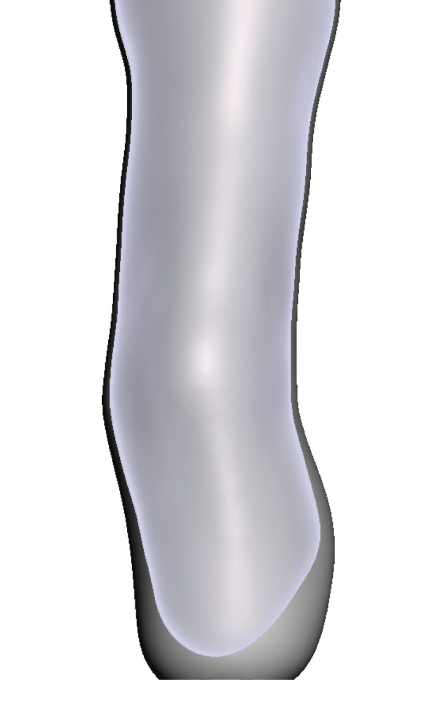 Prominent Fibula — 3D Model